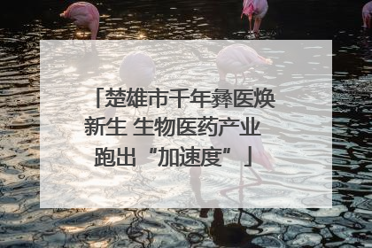 楚雄市千年彝医焕新生 生物医药产业跑出“加速度”