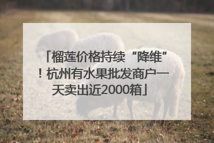 榴莲价格持续“降维”！杭州有水果批发商户一天卖出近2000箱