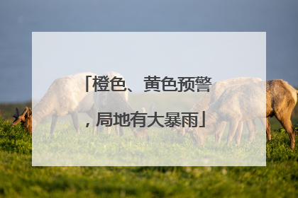 橙色、黄色预警，局地有大暴雨