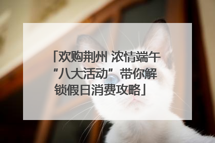 欢购荆州 浓情端午 “八大活动”带你解锁假日消费攻略