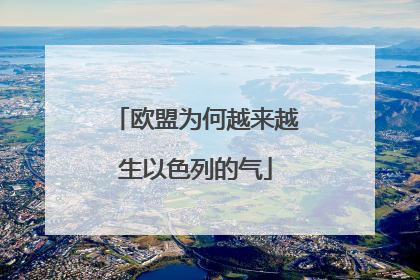 欧盟为何越来越生以色列的气