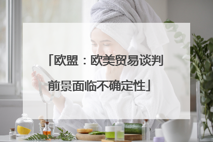 欧盟：欧美贸易谈判前景面临不确定性