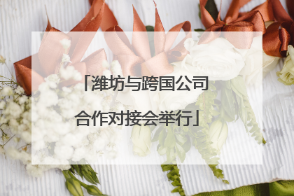 潍坊与跨国公司合作对接会举行