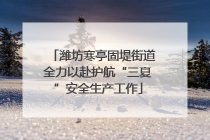 潍坊寒亭固堤街道全力以赴护航“三夏”安全生产工作