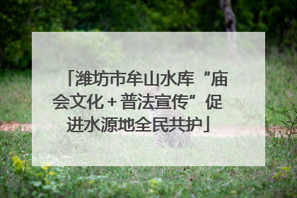 潍坊市牟山水库“庙会文化＋普法宣传”促进水源地全民共护