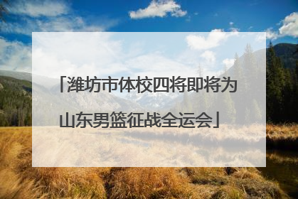 潍坊市体校四将即将为山东男篮征战全运会