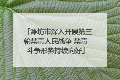 潍坊市深入开展第三轮禁毒人民战争 禁毒斗争形势持续向好