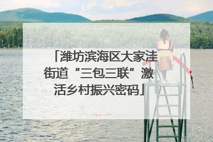 潍坊滨海区大家洼街道“三包三联”激活乡村振兴密码
