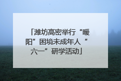 潍坊高密举行“暖阳”困境未成年人“六一”研学活动