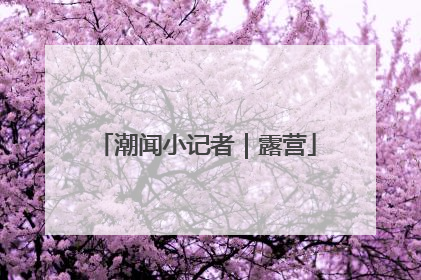 潮闻小记者｜露营