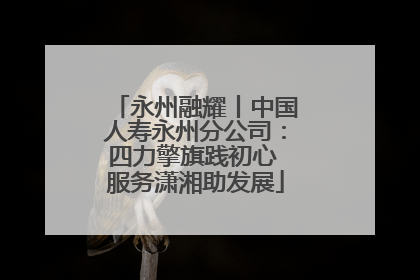永州融耀丨中国人寿永州分公司：四力擎旗践初心 服务潇湘助发展