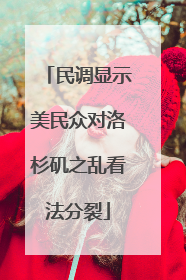 民调显示美民众对洛杉矶之乱看法分裂