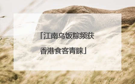 江南乌饭粽频获香港食客青睐
