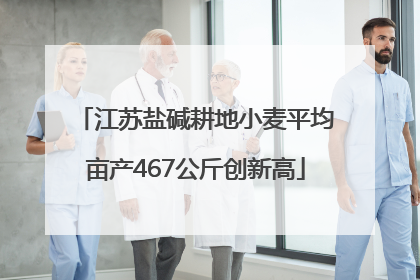 江苏盐碱耕地小麦平均亩产467公斤创新高