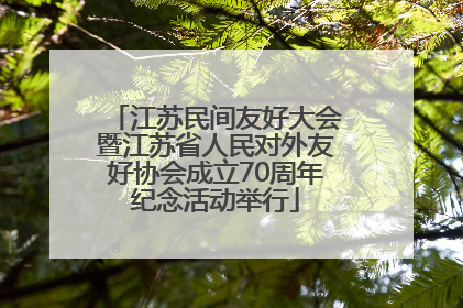 江苏民间友好大会暨江苏省人民对外友好协会成立70周年纪念活动举行