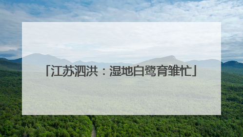 江苏泗洪：湿地白鹭育雏忙