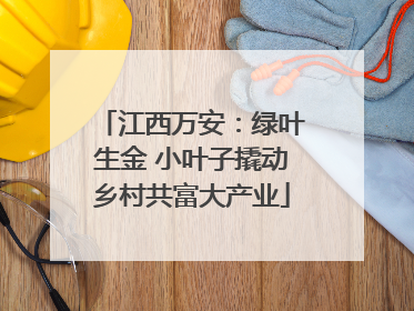 江西万安：绿叶生金 小叶子撬动乡村共富大产业