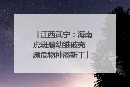 江西武宁：海南虎斑鳽幼雏破壳 濒危物种添新丁