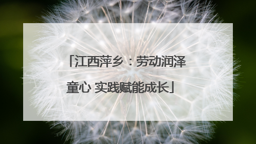 江西萍乡：劳动润泽童心 实践赋能成长
