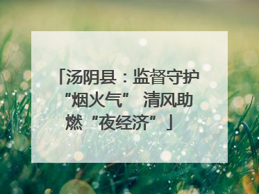 汤阴县：监督守护“烟火气” 清风助燃“夜经济”