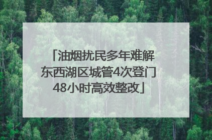 油烟扰民多年难解 东西湖区城管4次登门48小时高效整改