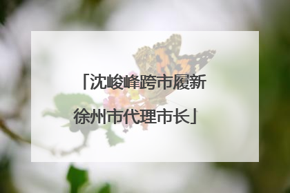 沈峻峰跨市履新徐州市代理市长