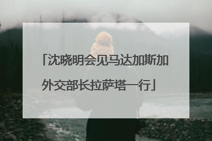 沈晓明会见马达加斯加外交部长拉萨塔一行