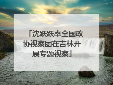 沈跃跃率全国政协视察团在吉林开展专题视察