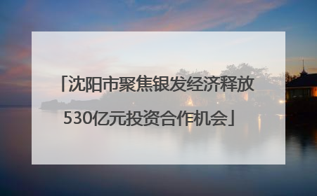 沈阳市聚焦银发经济释放530亿元投资合作机会