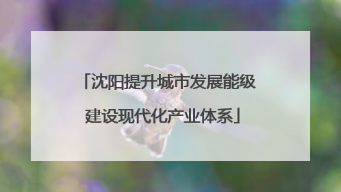 沈阳提升城市发展能级 建设现代化产业体系