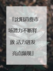 沈阳消费市场潜力不断释放 活力迸发亮点频现