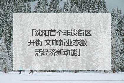 沈阳首个非遗街区开街 文旅新业态激活经济新动能