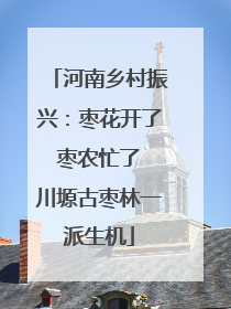 河南乡村振兴：枣花开了 枣农忙了 川塬古枣林一派生机
