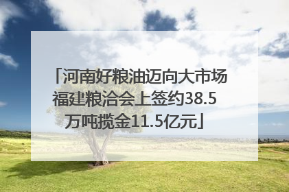 河南好粮油迈向大市场 福建粮洽会上签约38.5万吨揽金11.5亿元