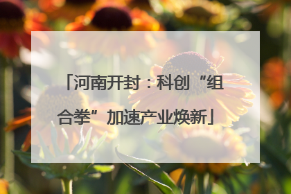河南开封：科创“组合拳”加速产业焕新