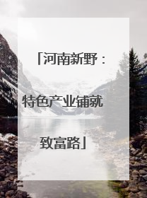 河南新野：特色产业铺就致富路