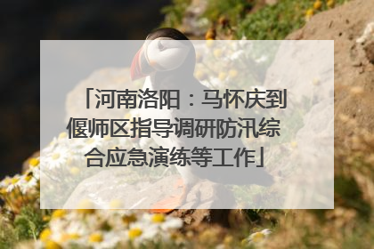 河南洛阳：马怀庆到偃师区指导调研防汛综合应急演练等工作