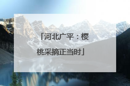 河北广平：樱桃采摘正当时