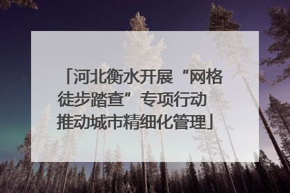 河北衡水开展“网格徒步踏查”专项行动 推动城市精细化管理