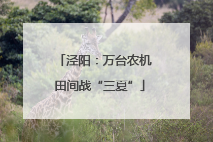 泾阳：万台农机田间战“三夏”