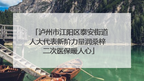 泸州市江阳区泰安街道人大代表新阶力量润桑梓 二次医保暖人心