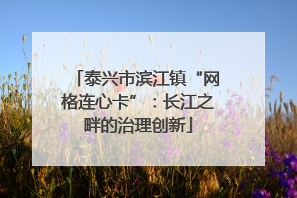 泰兴市滨江镇“网格连心卡”：长江之畔的治理创新