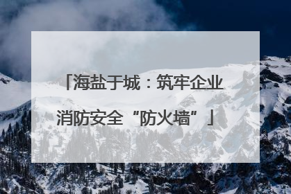 海盐于城：筑牢企业消防安全“防火墙”