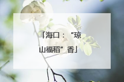 海口：“琼山福稻”香