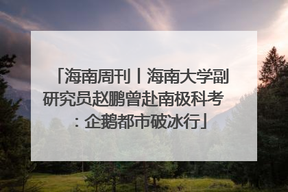 海南周刊丨海南大学副研究员赵鹏曾赴南极科考：企鹅都市破冰行