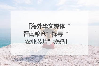 海外华文媒体“晋南粮仓”探寻“农业芯片”密码