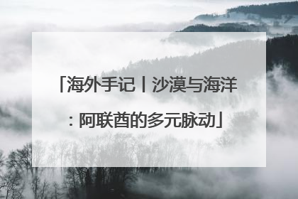 海外手记丨沙漠与海洋：阿联酋的多元脉动