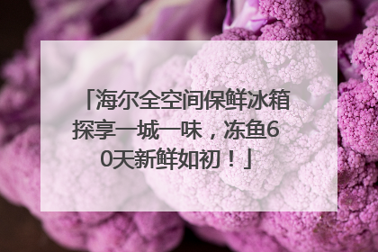 海尔全空间保鲜冰箱探享一城一味，冻鱼60天新鲜如初！