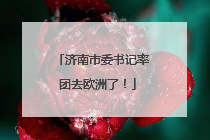 济南市委书记率团去欧洲了！