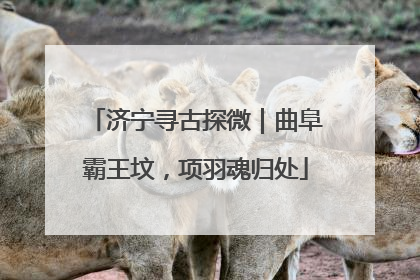 济宁寻古探微｜曲阜霸王坟，项羽魂归处